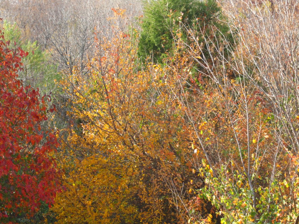 Dec 1 blog pictures and Shawns bracelets 021