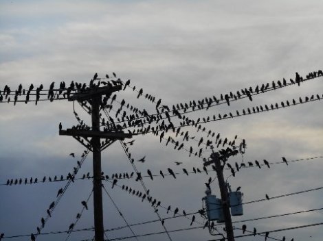 DSCN1388MA29648781-0002