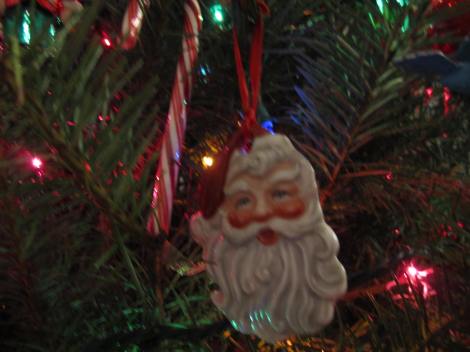 Our Christmas tree 2012 053