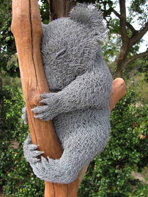 wire_koala